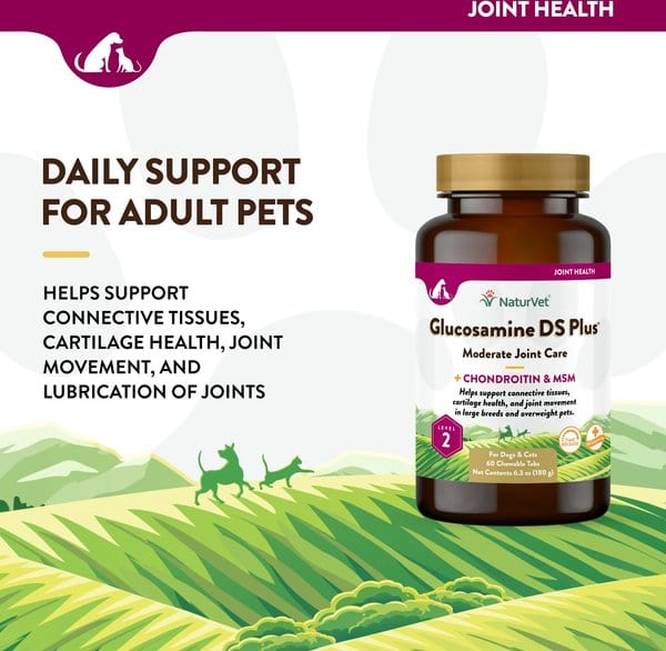 NaturVet Glucosamine DS Plus MSM Level 2 Moderate Care Time Release Chewable Tablets for Dogs