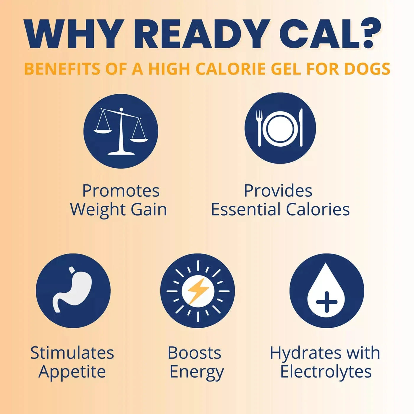 Under the Weather Ready Cal Plus Dog Electrolytes High-Calorie Supplement
