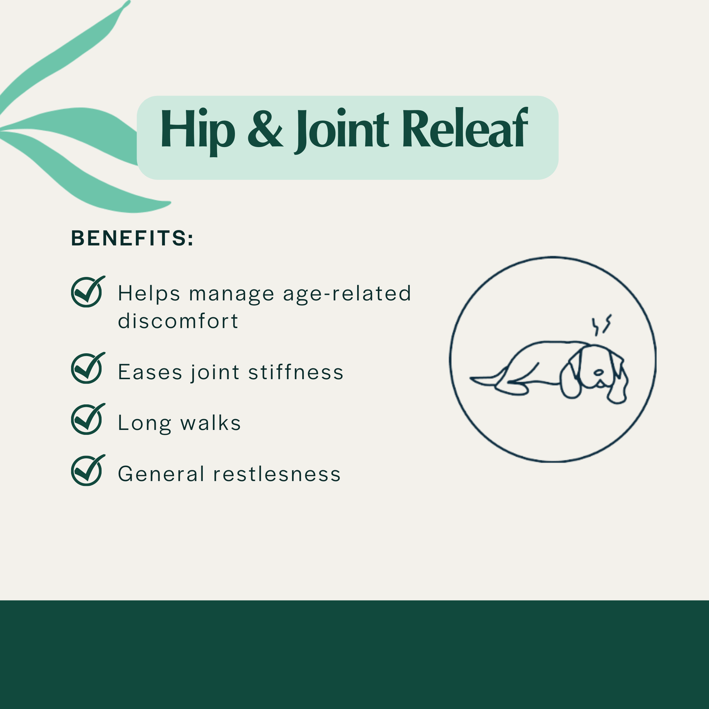 Pet Releaf Hip & Joint Releaf Travel Size Edibites Peanut Butter & Banana Flavor for Dogs