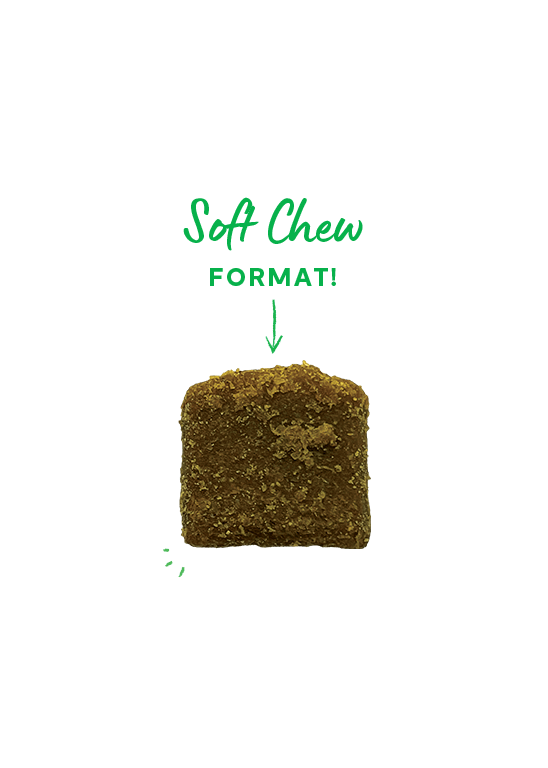 Open Farm Hip & Joint Supplement Chews for Dogs