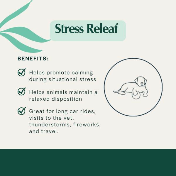 Pet Releaf Stress Releaf Travel Size Edibites Peanut Butter & Carob Flavor for Dogs